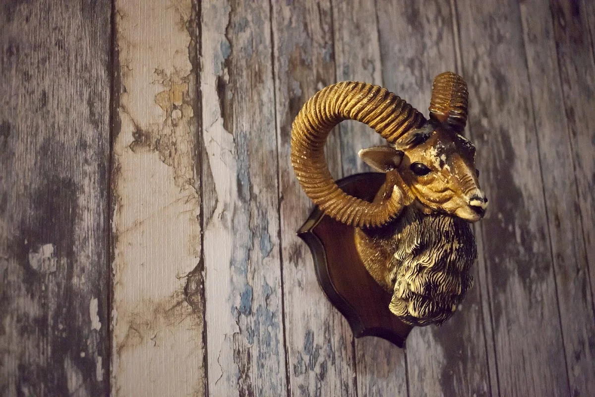 Evasión Rebelde (Divina & Embajador) Escape Room