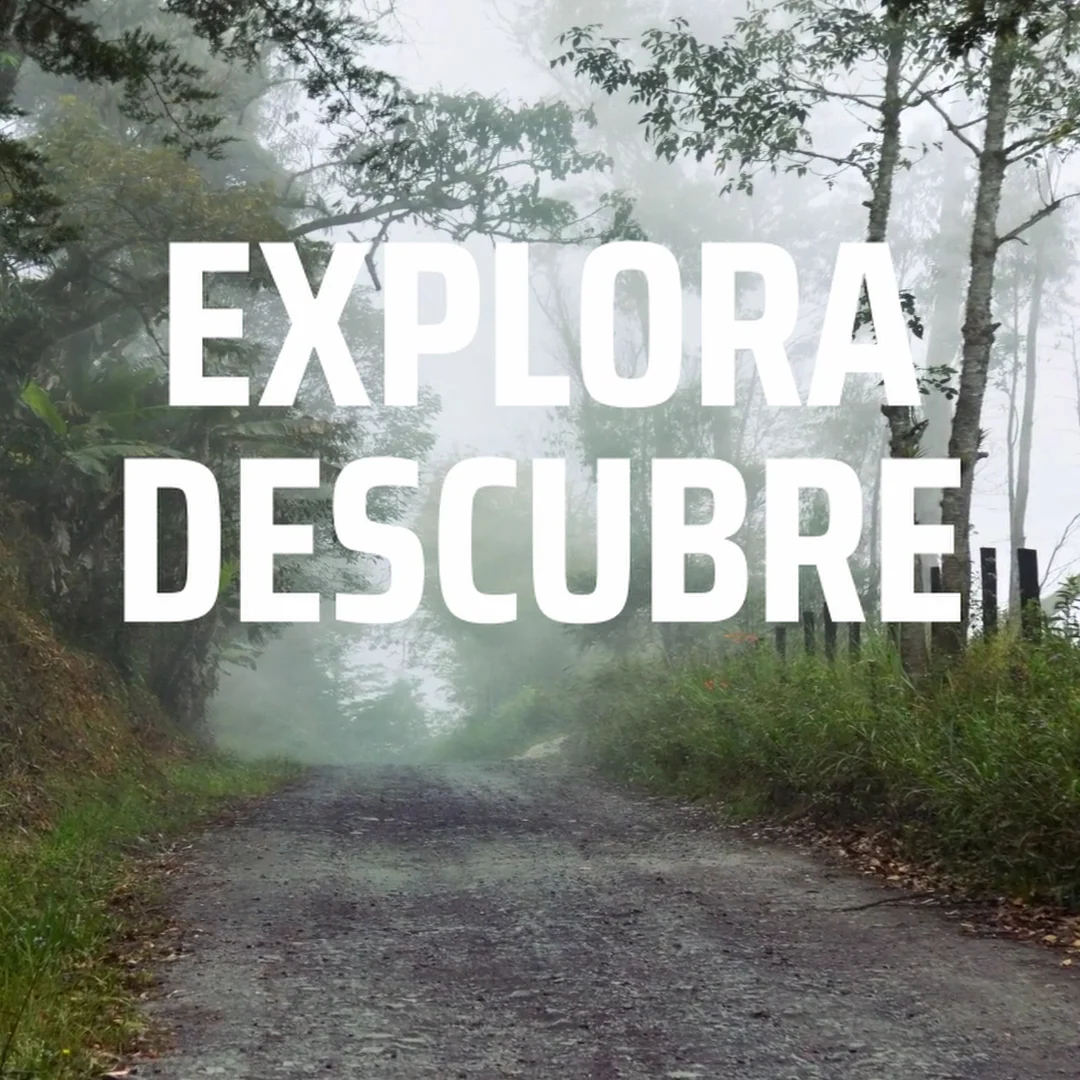 La Puerta de Ara - Escape Rooms - 2
