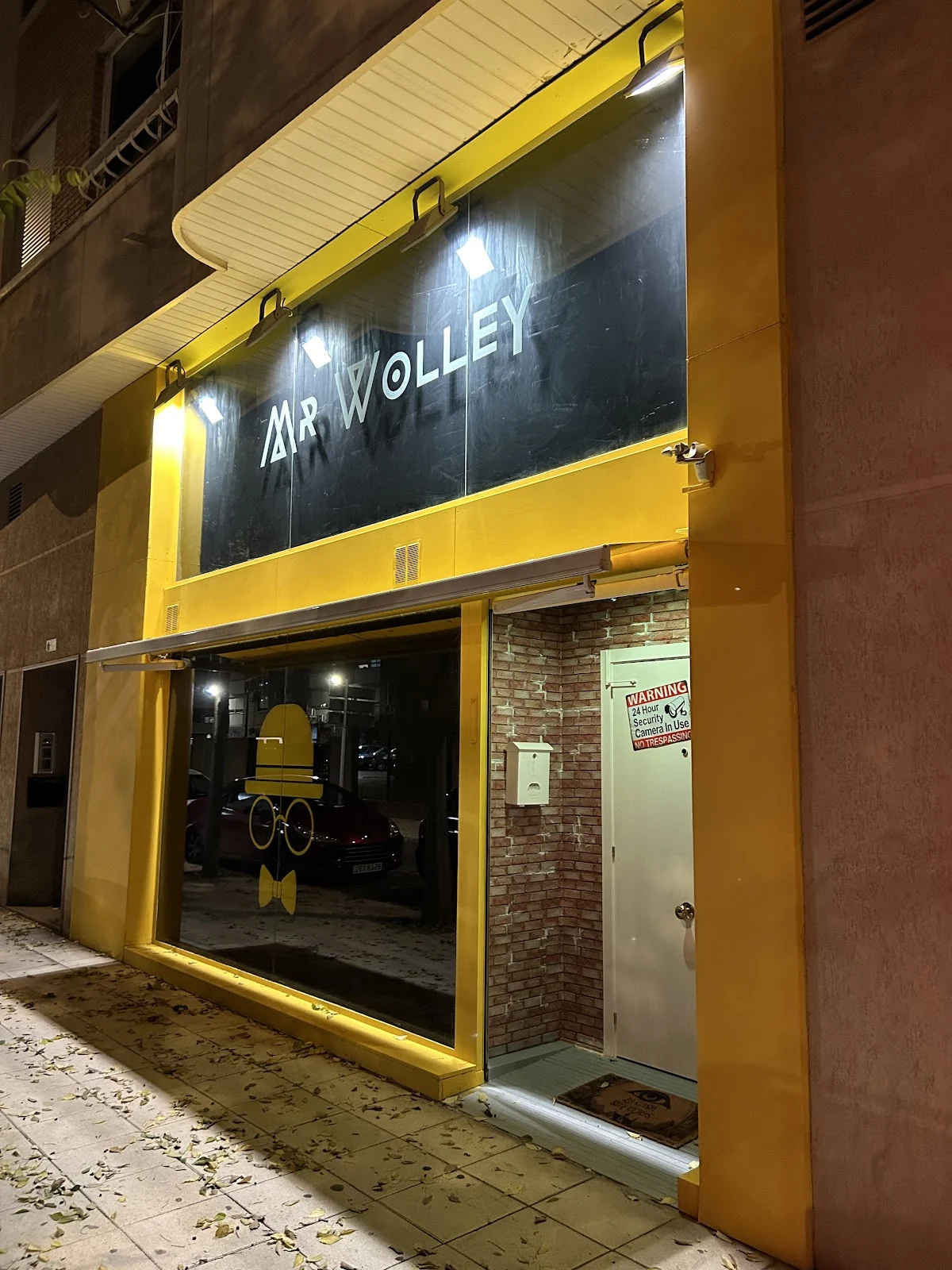 MrWolley